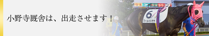 小野寺厩舎は、出走させます！