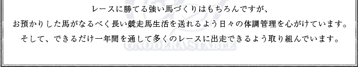 レースに勝てる強い馬づくりはもちろんですが、お預かりした馬がなるべく長い競走馬生活を送れるよう日々の体調管理を心がけています。そして、できるだけ一年間を通して多くのレースに出走できるよう取り組んでいます。