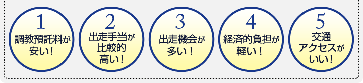 馬主様が大井競馬場を選ぶべき5つの理由