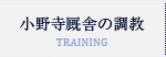 小野寺厩舎の調教