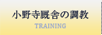 小野寺厩舎の調教