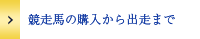 競走馬の購入から出走まで